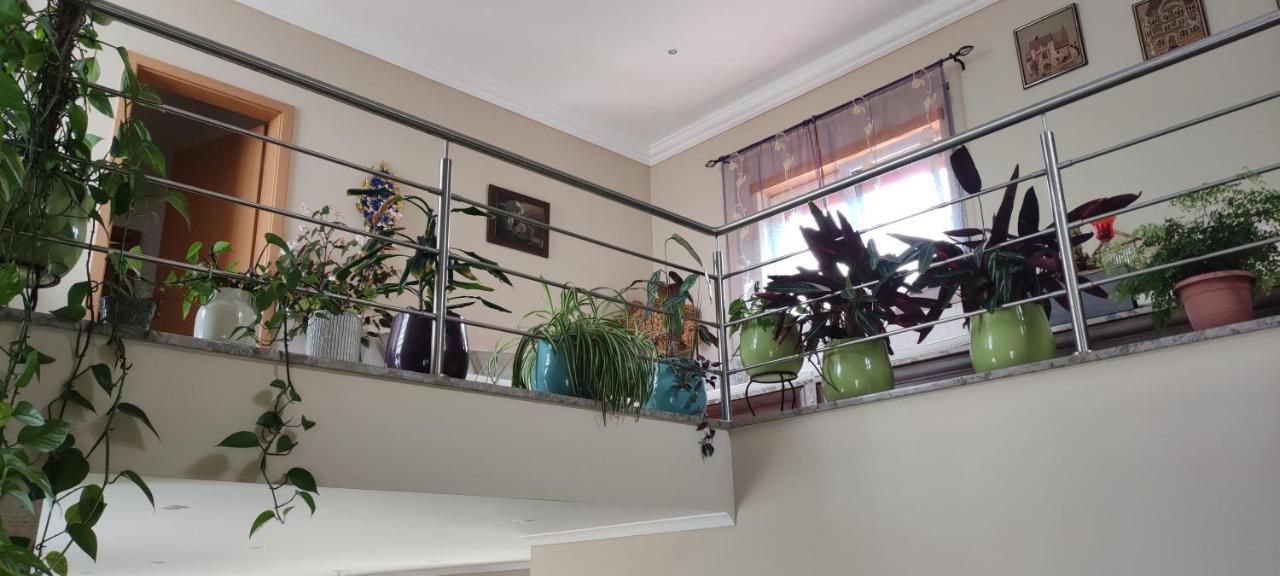 Beco Do Patalugo Homestay