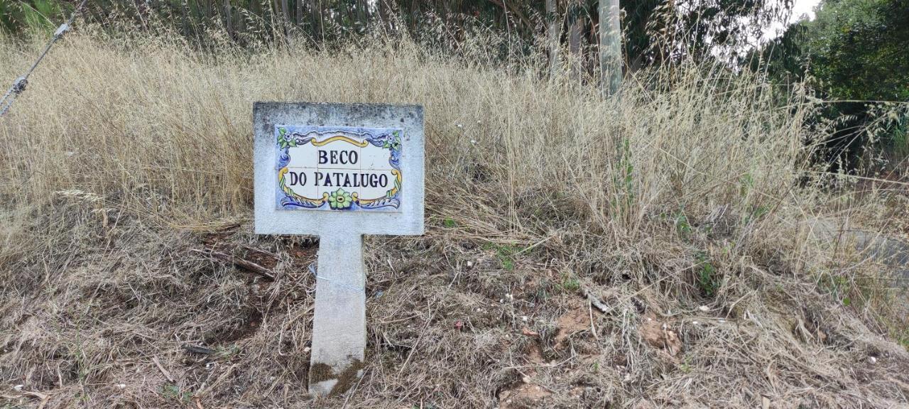 Beco Do Patalugo Homestay Salir de Matos